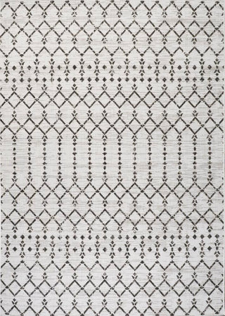 Dean Moroccan Geometric Textured Weave Indoor/outdoor Area Rug