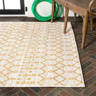 Dean Moroccan Geometric Textured Weave Indoor/outdoor Area Rug