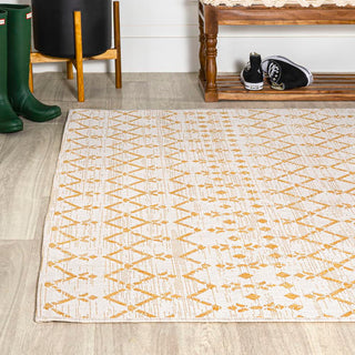 Dean Moroccan Geometric Textured Weave Indoor/outdoor Area Rug