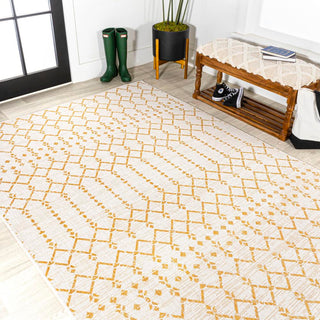 Dean Moroccan Geometric Textured Weave Indoor/outdoor Area Rug