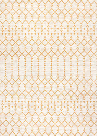 Dean Moroccan Geometric Textured Weave Indoor/outdoor Area Rug