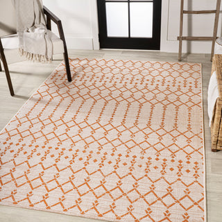 Dean Moroccan Geometric Textured Weave Indoor/outdoor Area Rug