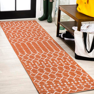 Dean Moroccan Geometric Textured Weave Indoor/outdoor Runner Rug