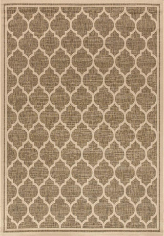 Matthews Moroccan Trellis Textured Weave Indoor/outdoor Area Rug