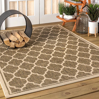 Matthews Moroccan Trellis Textured Weave Indoor/outdoor Area Rug