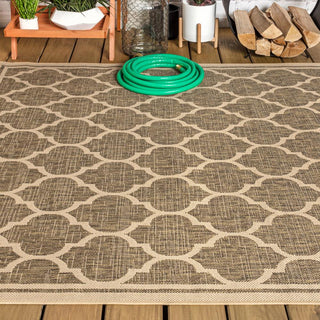 Matthews Moroccan Trellis Textured Weave Indoor/outdoor Area Rug