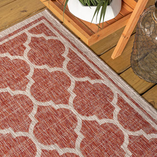 Matthews Moroccan Trellis Textured Weave Indoor/outdoor Runner Rug