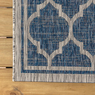 Matthews Moroccan Trellis Textured Weave Indoor/outdoor Runner Rug