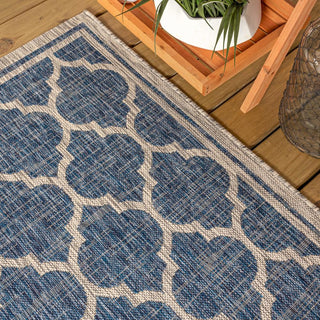 Matthews Moroccan Trellis Textured Weave Indoor/outdoor Runner Rug