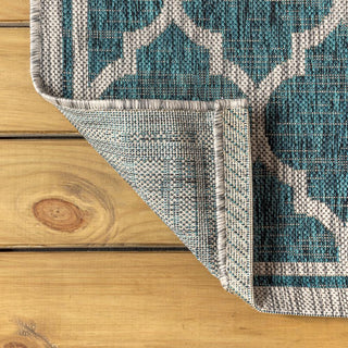 Matthews Moroccan Trellis Textured Weave Indoor/outdoor Runner Rug