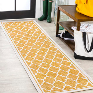 Matthews Moroccan Trellis Textured Weave Indoor/outdoor Runner Rug