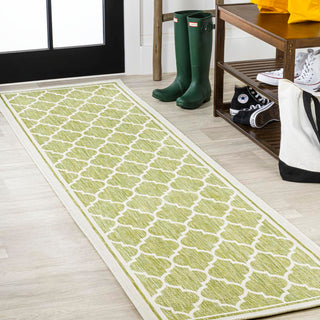 Matthews Moroccan Trellis Textured Weave Indoor/outdoor Runner Rug