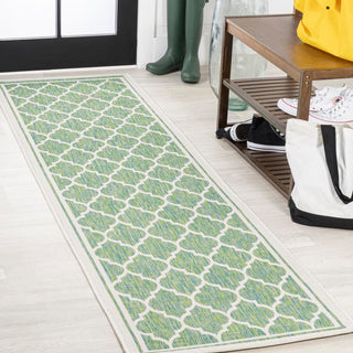 Matthews Moroccan Trellis Textured Weave Indoor/outdoor Runner Rug