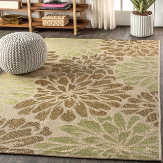 Garcia Modern Floral Textured Weave Indoor/outdoor Area Rug