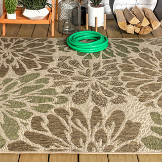 Garcia Modern Floral Textured Weave Indoor/outdoor Area Rug