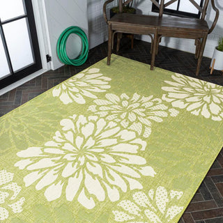 Garcia Modern Floral Textured Weave Indoor/outdoor Area Rug