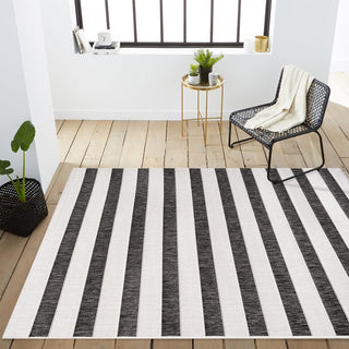 Rowena wide Stripe Indoor/outdoor Area Rug