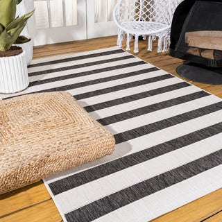 Rowena wide Stripe Indoor/outdoor Area Rug