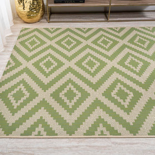 Shepherd diamond Tribal Indoor/outdoor Area Rug