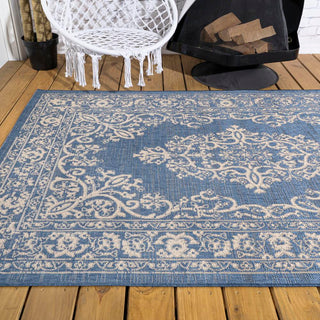 Chenab Galon Filigree Indoor/Outdoor Area Rug