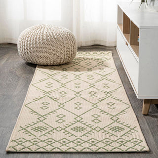 Parana Boho Moroccan Indoor/Outdoor Area Rug