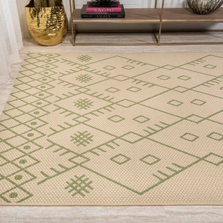 Parana Boho Moroccan Indoor/Outdoor Area Rug