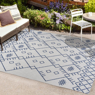 Parana Boho Moroccan Indoor/Outdoor Area Rug