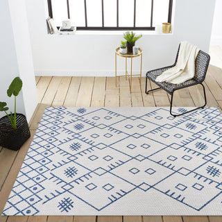 Parana Boho Moroccan Indoor/Outdoor Area Rug