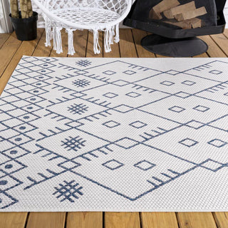 Parana Boho Moroccan Indoor/Outdoor Area Rug