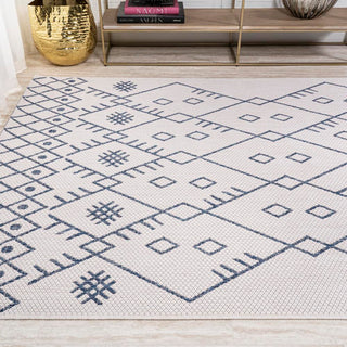 Parana Boho Moroccan Indoor/Outdoor Area Rug