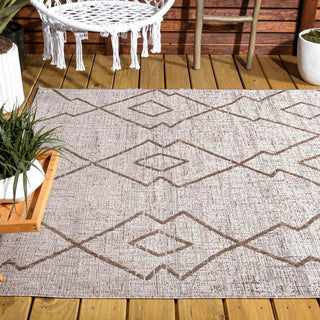 Funchat Carwa Tribal Diamond Trellis Area Rug