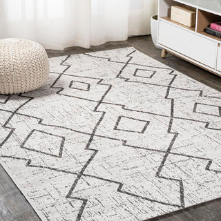 Funchat Carwa Tribal Diamond Trellis Area Rug