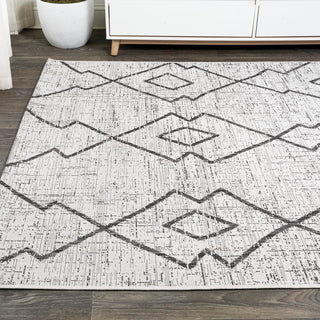 Funchat Carwa Tribal Diamond Trellis Area Rug