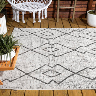 Funchat Carwa Tribal Diamond Trellis Area Rug