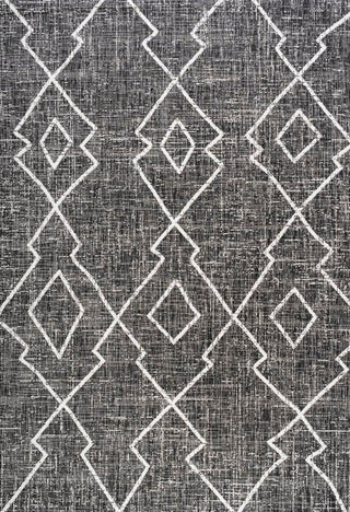 Funchat Carwa Tribal Diamond Trellis Area Rug