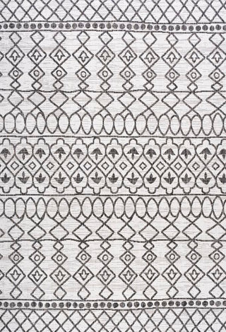 Guarda Kafel Tribal Bohemian Indoor/Outdoor Area Rug