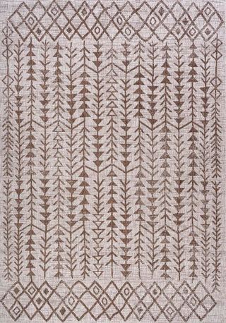 Esmortiz Tokay Bohemian Geometric Indoor/Outdoor Area Rug