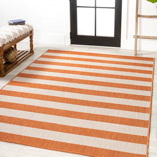 Amos Two-tone Wide Stripe Indoor/outdoor Area Rug