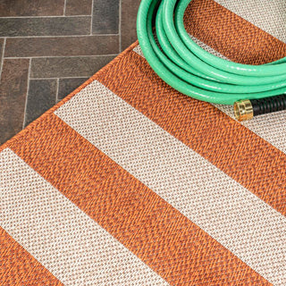 Amos Two-tone Wide Stripe Indoor/outdoor Area Rug