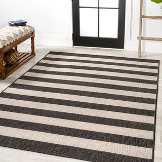 Amos Two-tone Wide Stripe Indoor/outdoor Area Rug