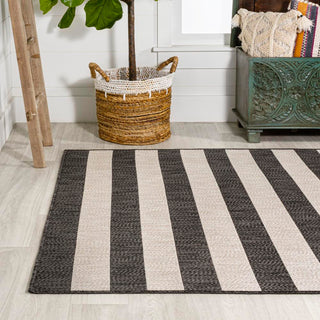 Amos Two-tone Wide Stripe Indoor/outdoor Area Rug