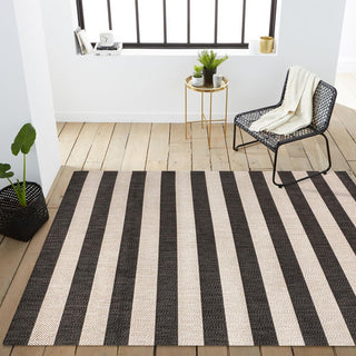 Amos Two-tone Wide Stripe Indoor/outdoor Area Rug