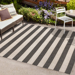 Amos Two-tone Wide Stripe Indoor/outdoor Area Rug