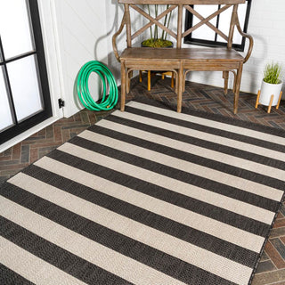 Amos Two-tone Wide Stripe Indoor/outdoor Area Rug