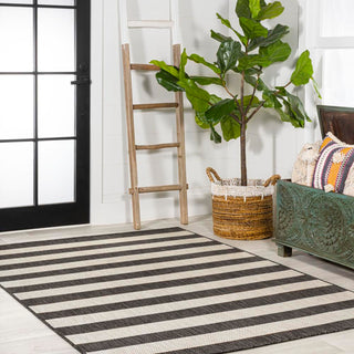 Amos Two-tone Wide Stripe Indoor/outdoor Area Rug