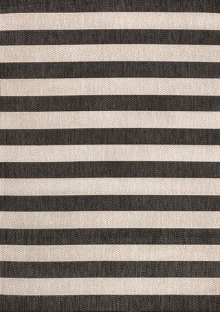 Amos Two-tone Wide Stripe Indoor/outdoor Area Rug