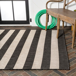 Amos Two-tone Wide Stripe Indoor/outdoor Area Rug