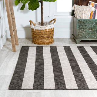 Amos Two-tone Wide Stripe Indoor/outdoor Area Rug