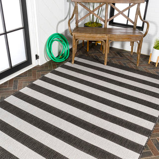 Amos Two-tone Wide Stripe Indoor/outdoor Area Rug