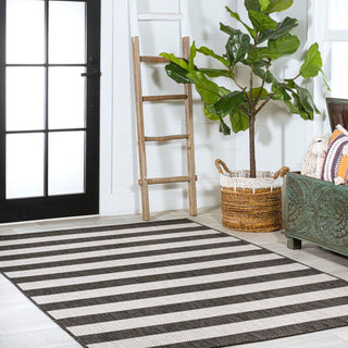 Amos Two-tone Wide Stripe Indoor/outdoor Area Rug